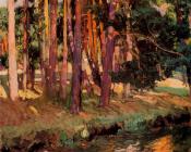 华金索罗利亚巴斯蒂达 - The river la Reina Valsain